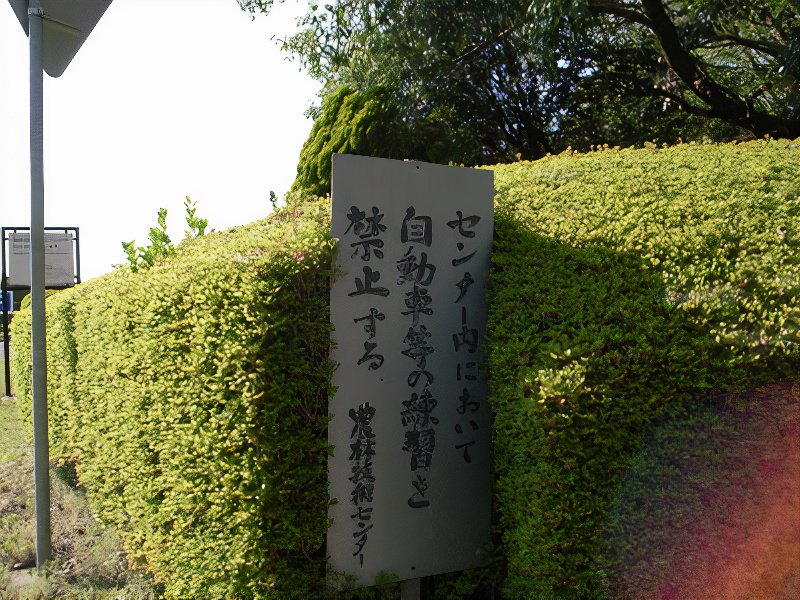 R0020397_photos_v2_x2.jpg