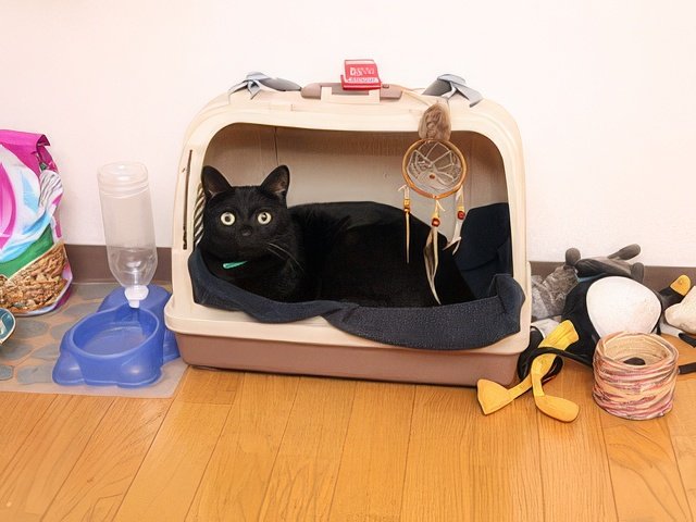 IMG_9758-topaz-standard v2-640w.jpeg