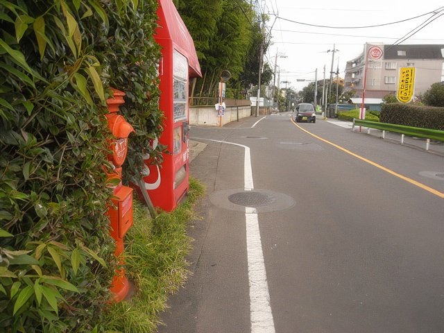 RIMG9291-topaz-standard v2-640w.jpg