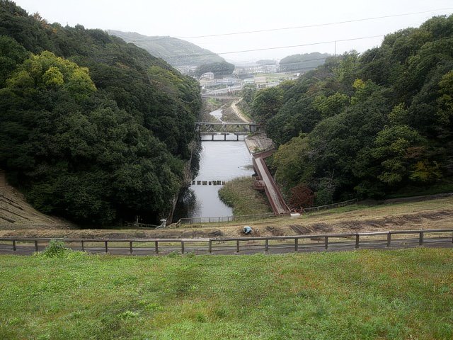 039-topaz-standard v2-640w.jpg