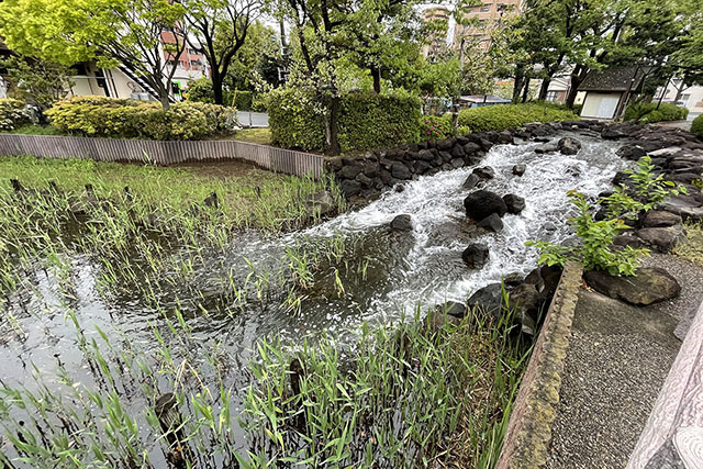 写真 2021-04-05 16 07 41.jpg