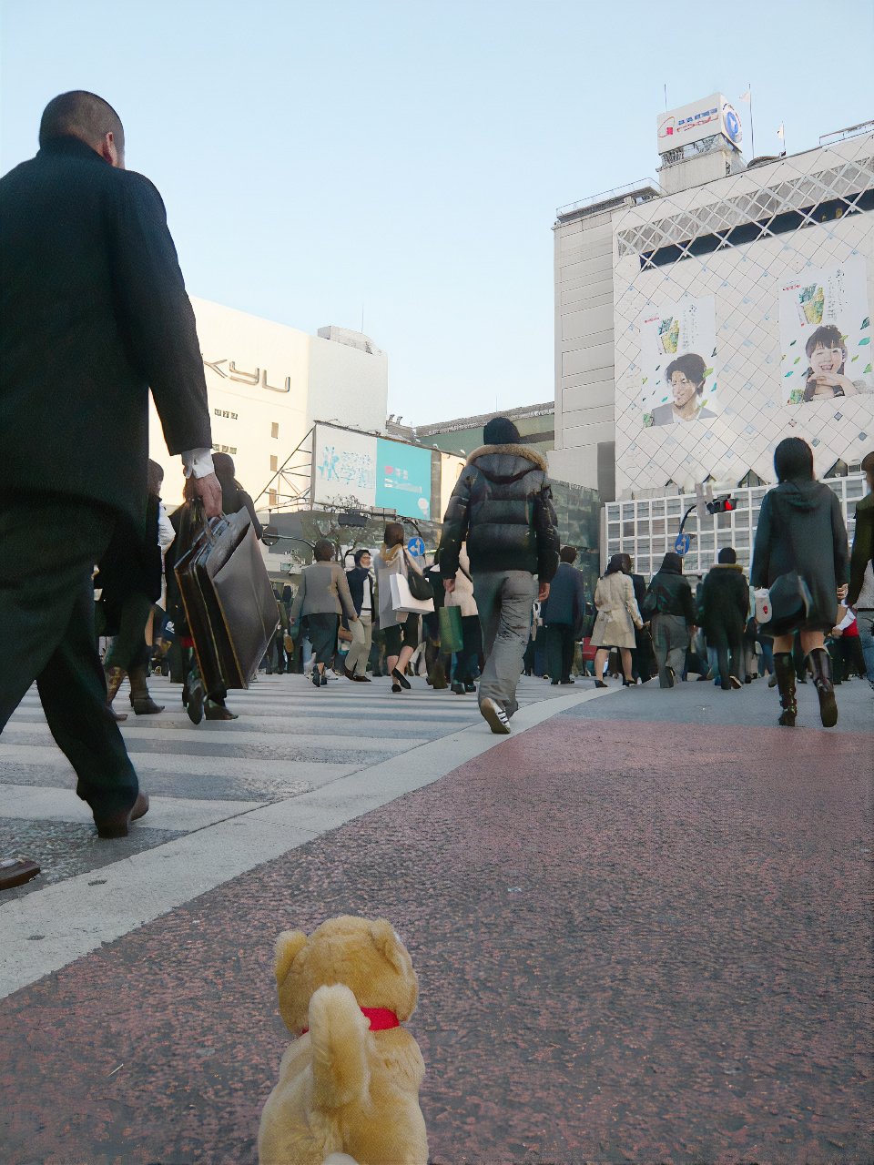 michi9_photos_v2_x2.jpg