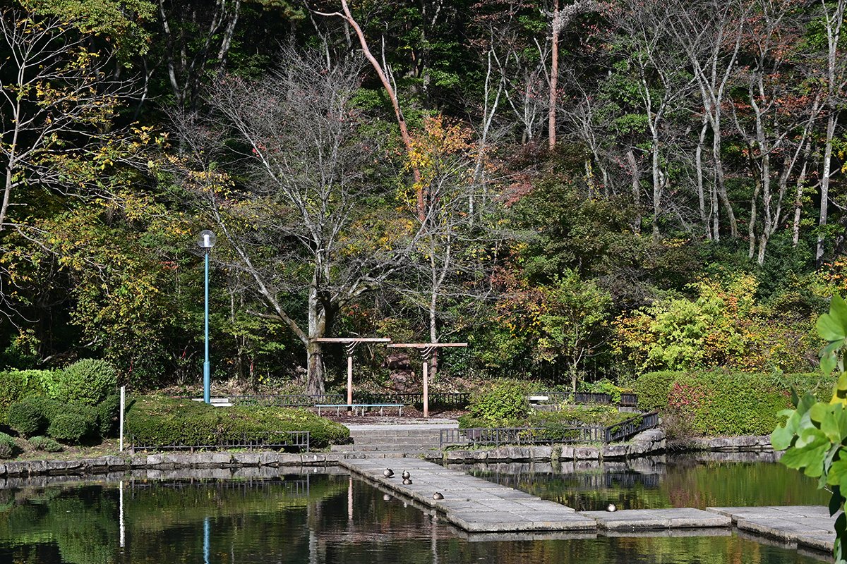 DSC_3118.JPG