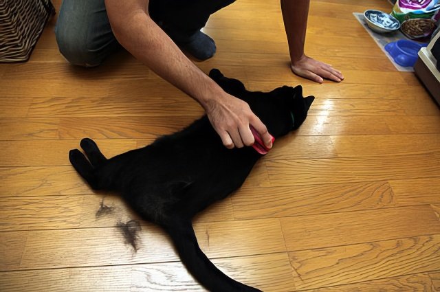 IMG_9768-topaz-low resolution-640w.jpeg