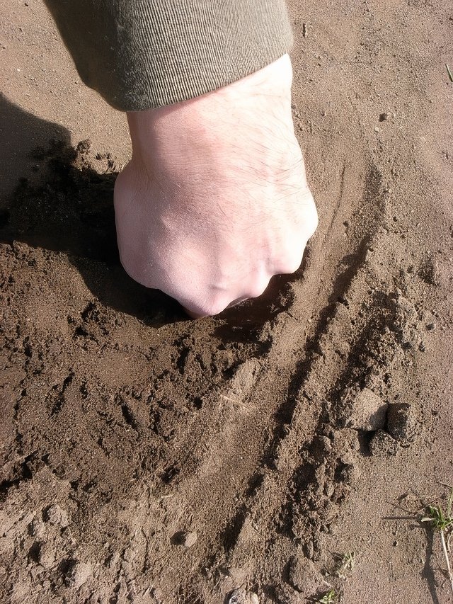 024-topaz-standard v2-640w.jpg