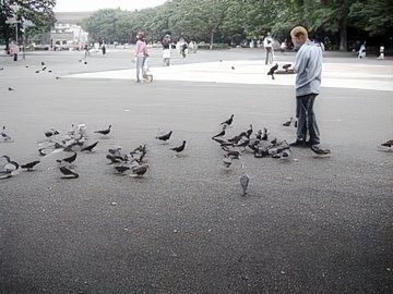 28-topaz-standard v2-2x.jpg