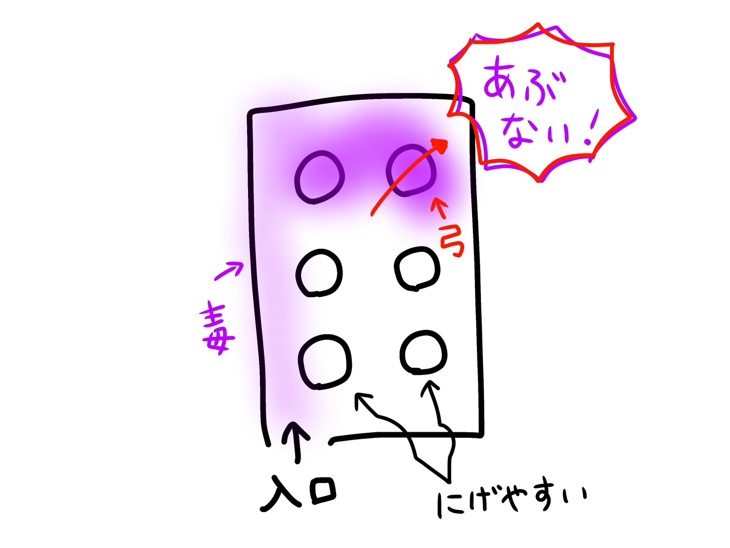 S__131170306.jpg
