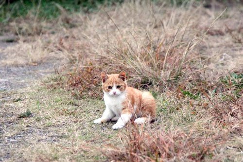 17796459_1383872701656610_610227026