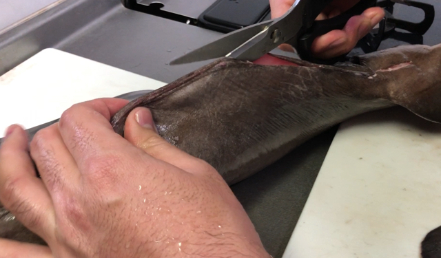 スクリーンショット 2020-04-22 4.13.45.jpg