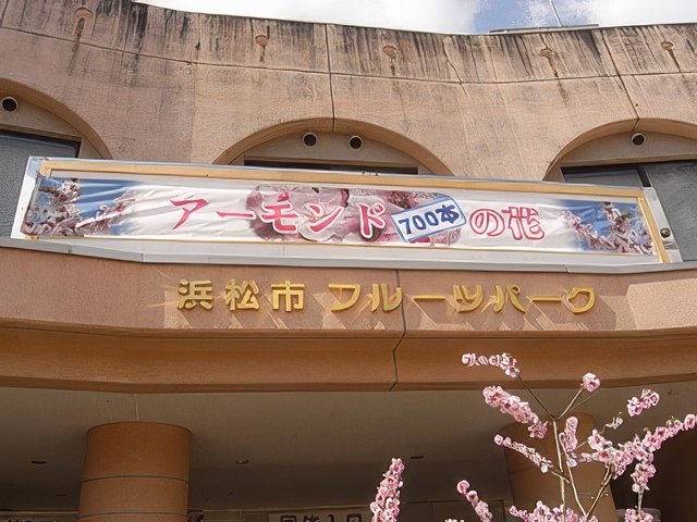 RIMG12051-topaz-standard v2-640w.jpg