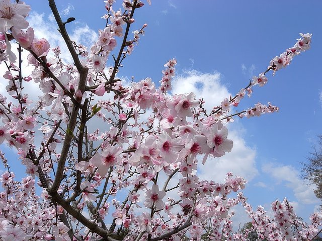 RIMG12191-topaz-standard v2-640w.jpg