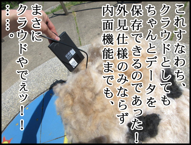 c12.jpg