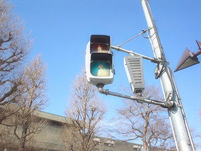 2-4-topaz-standard v2-2x.jpg