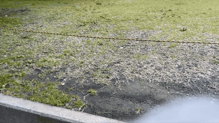 l.gif