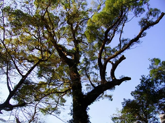 living_photos_v2_x2.jpg