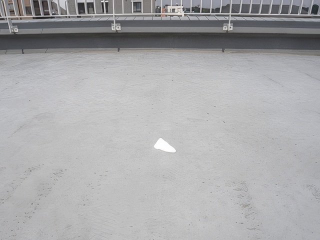 RIMG8923-topaz-standard v2-640w.jpg