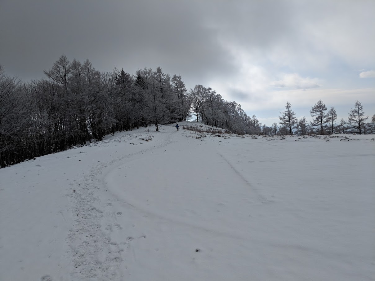 IMG_20190211_084500.jpg