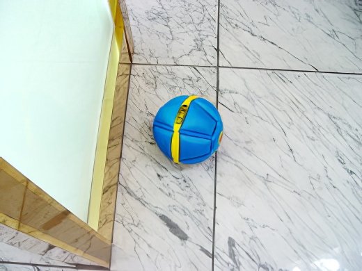 9-topaz-low resolution v1-2x.jpg