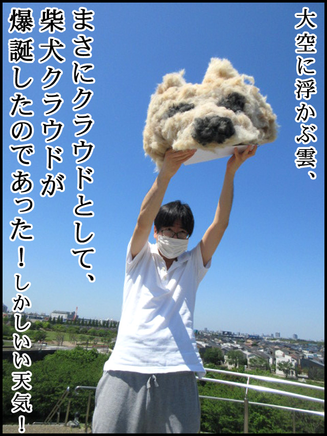 c10.jpg