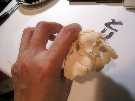 RIMG3432-topaz-standard v2-2x.jpg