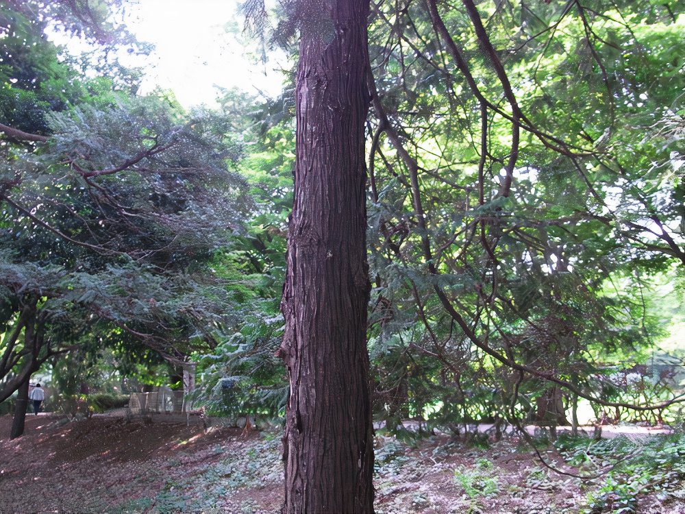 16_photos_v2_x2.jpg