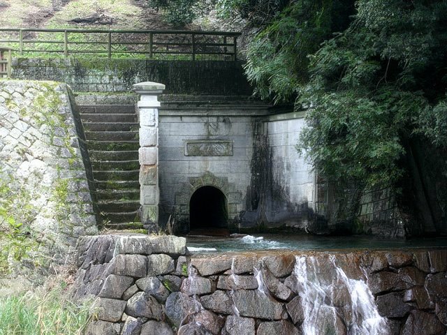 042-topaz-standard v2-640w.jpg