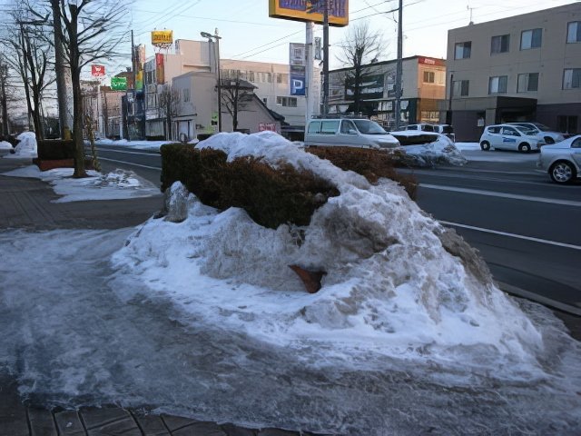 281-topaz-standard v2-640w.jpg