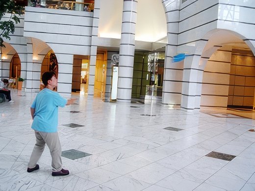 10-topaz-standard v2-2x.jpg