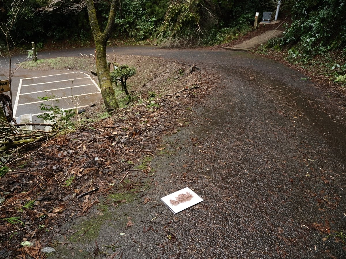image_s020.jpg