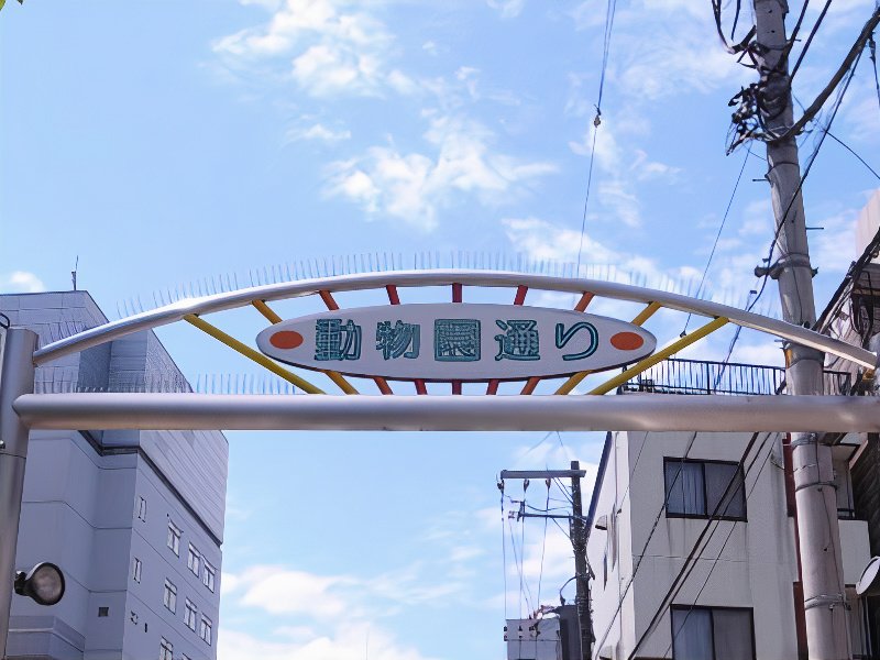 002_photos_v2_x2.jpg