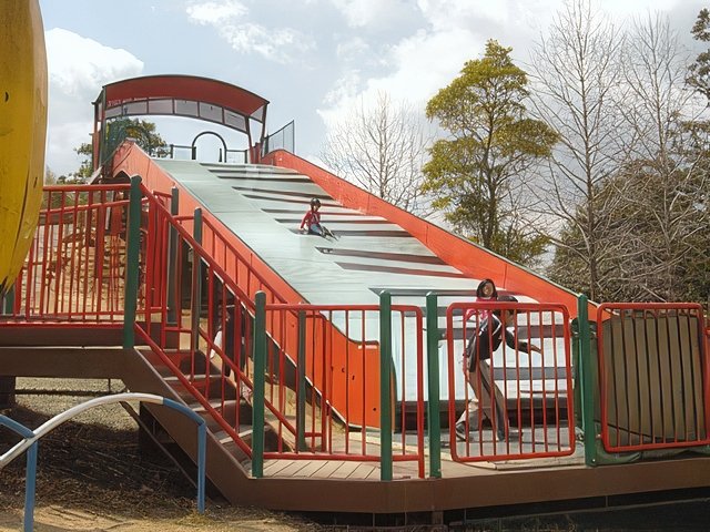 RIMG12070-topaz-standard v2-640w.jpg