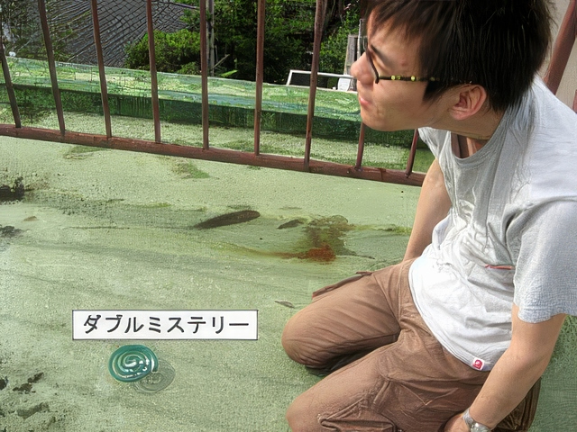 ufo036-topaz-standard v2-2x-faceai.jpg