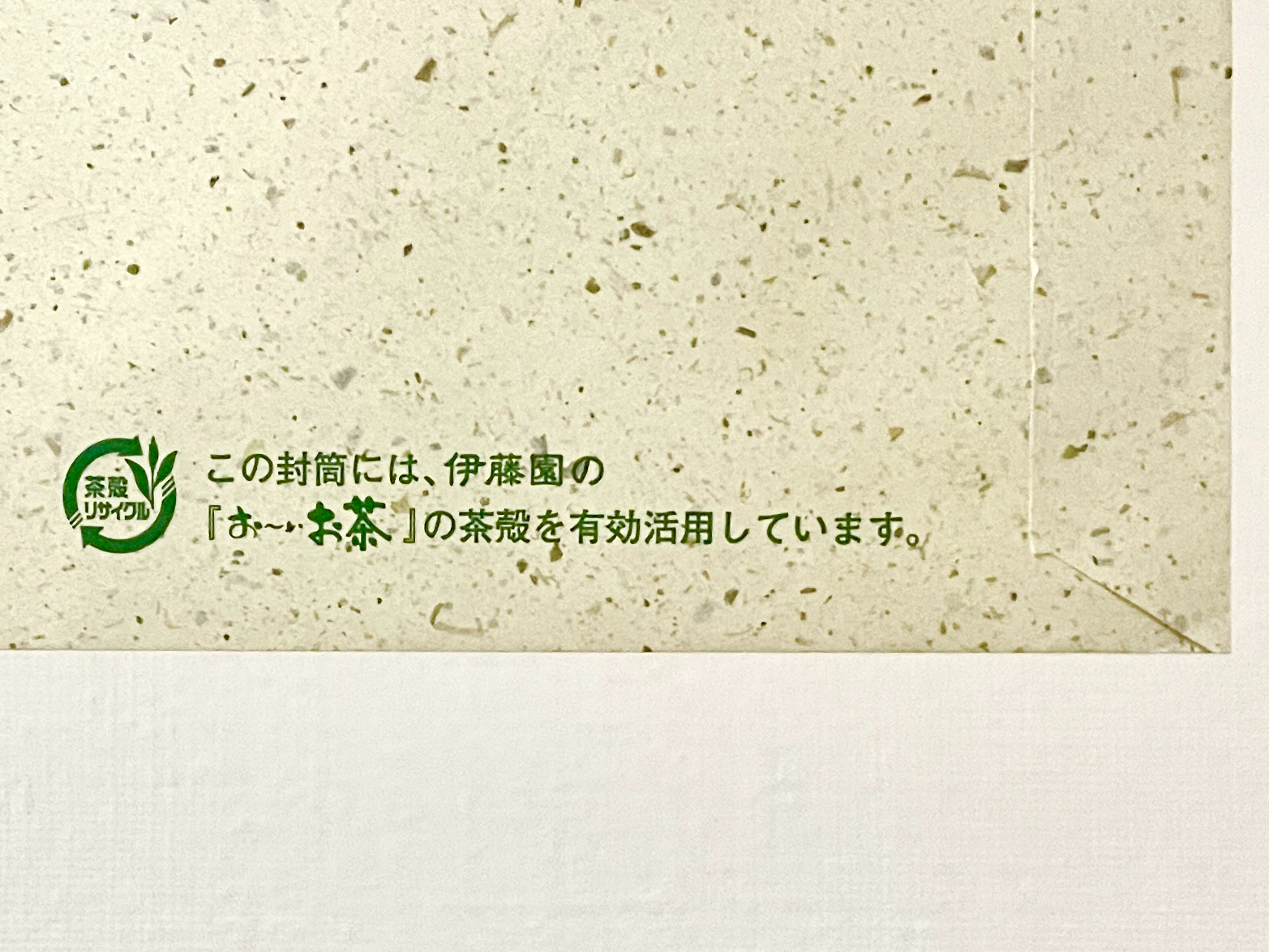 IMG_6044.jpeg