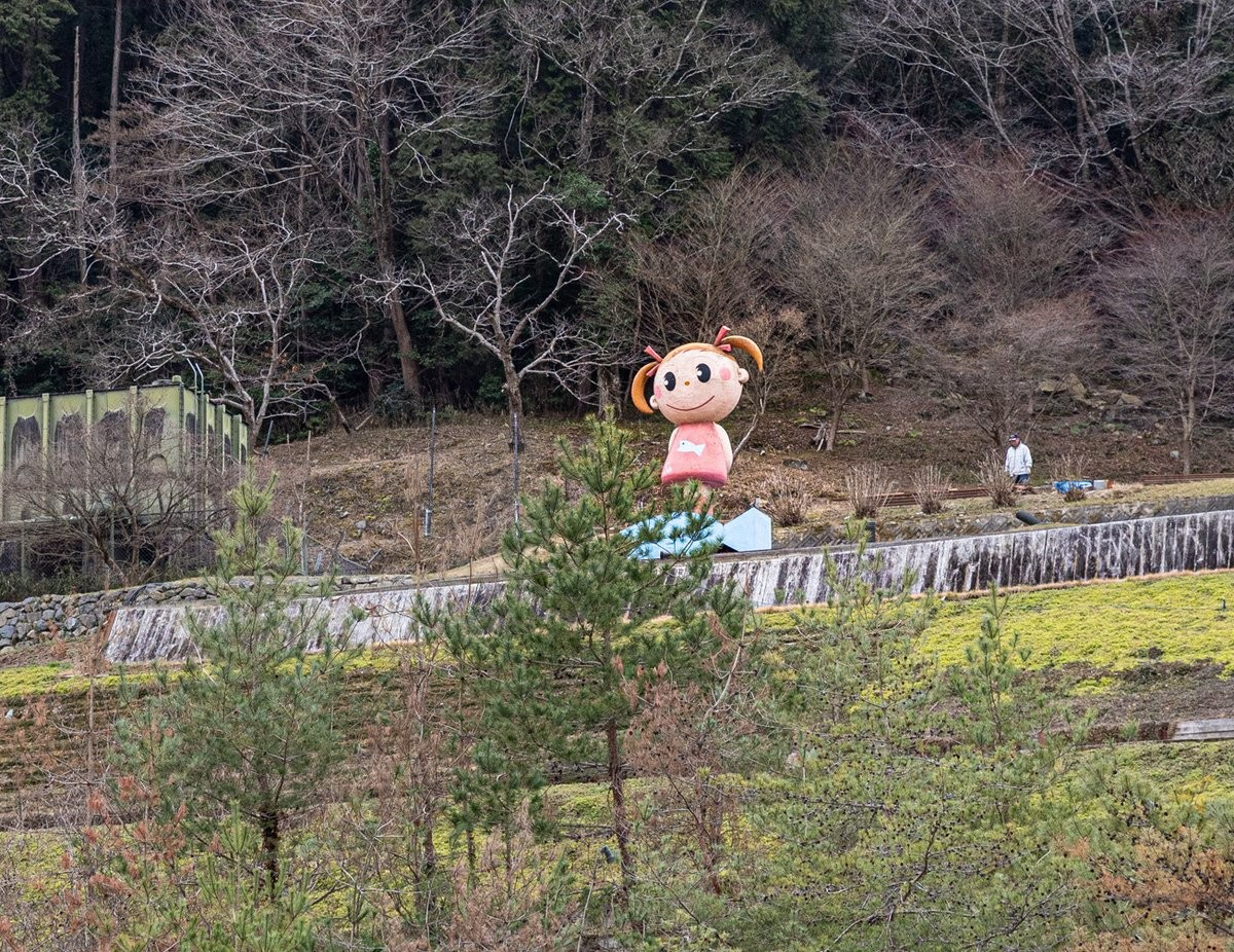 image_s005.jpg