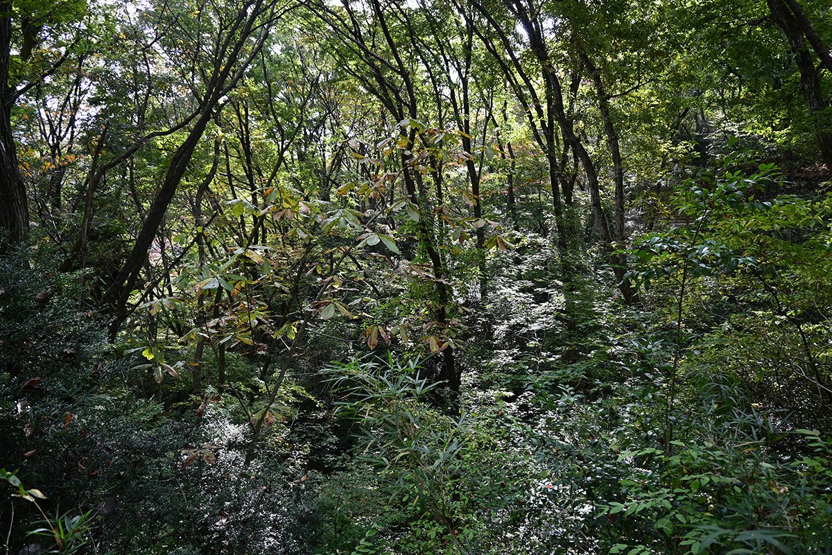 DSC_3138.JPG