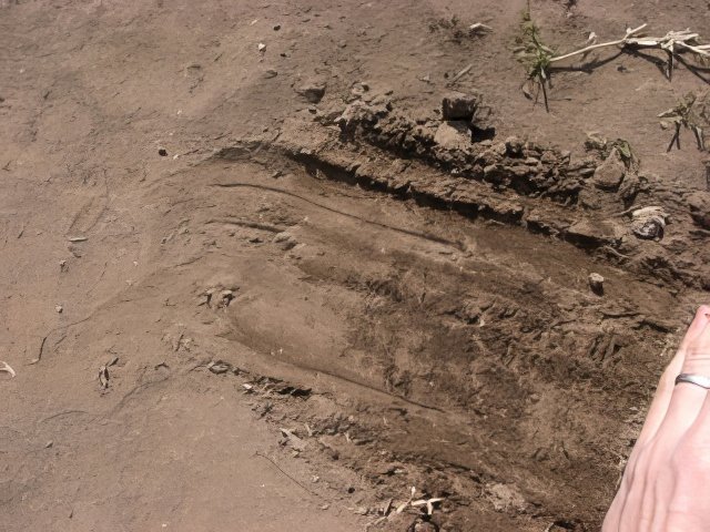 085-topaz-low resolution-640w.jpg