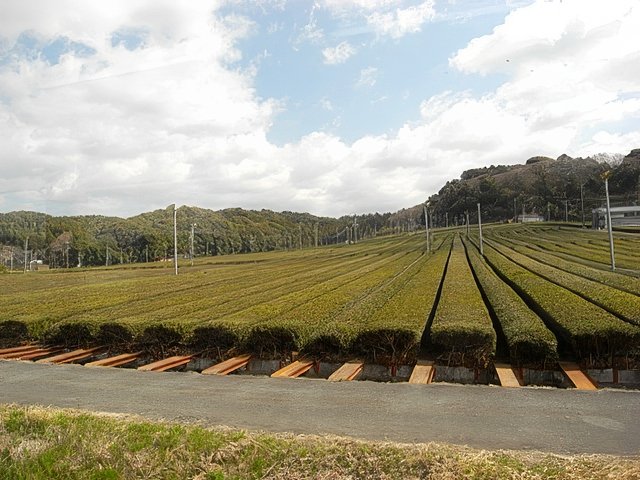 RIMG12035-topaz-standard v2-640w.jpg