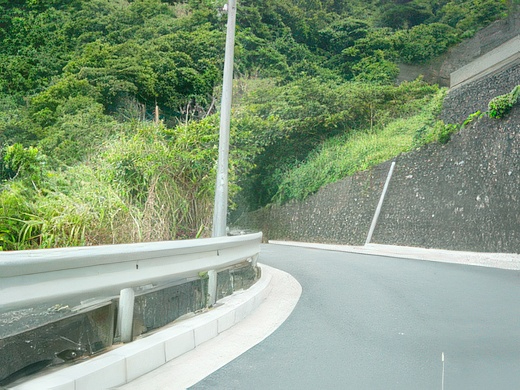 041-topaz-standard v2-2x.jpg