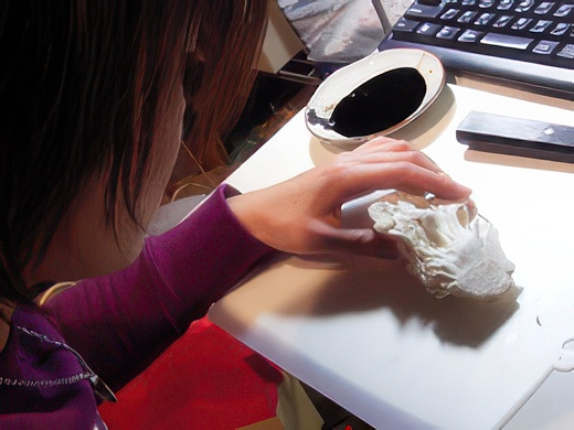 RIMG3428-topaz-standard v2-2x.jpg