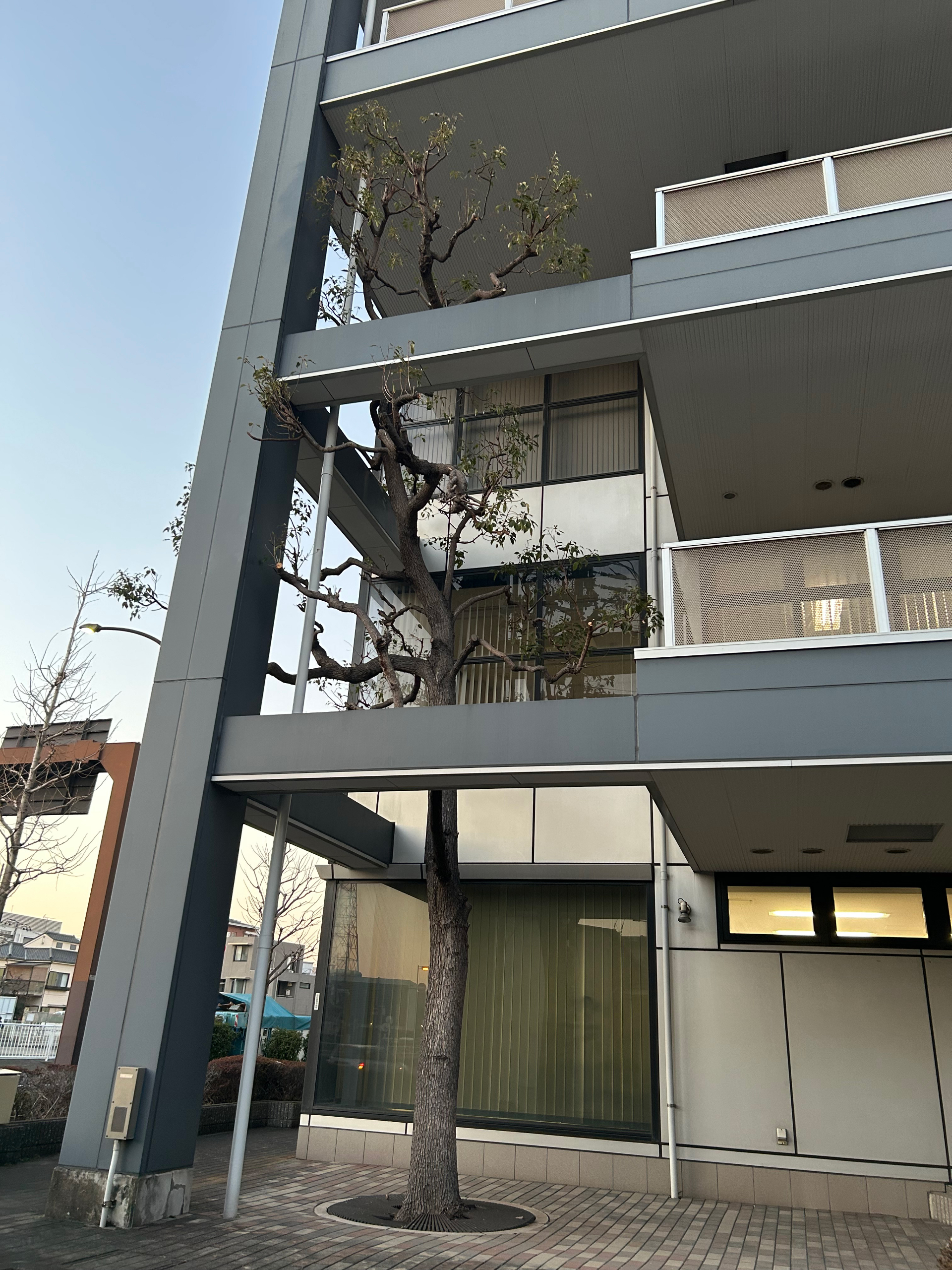 20260427-1.jpg