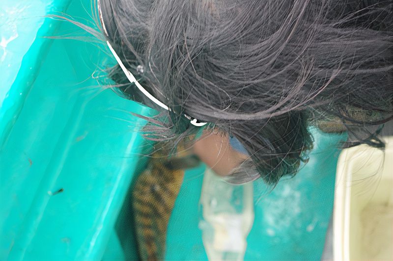 ウツボ03_photos_v2_x2.jpg