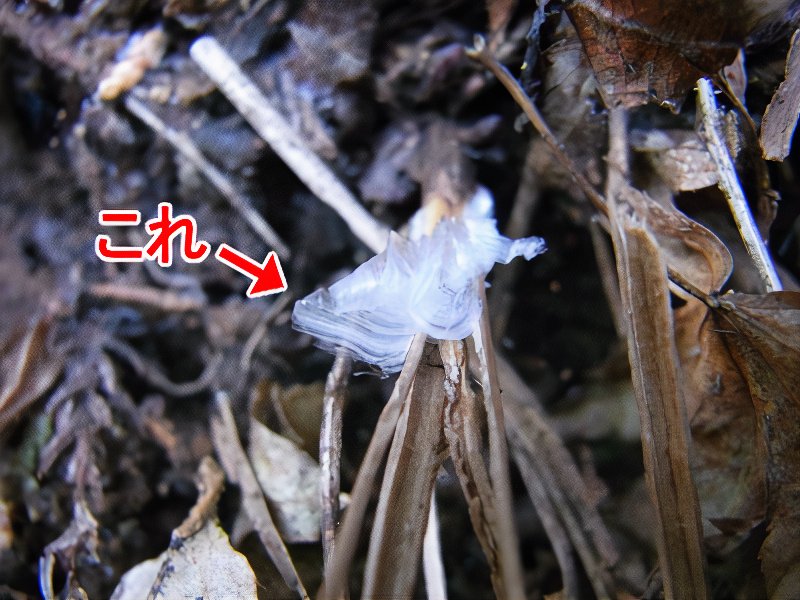 24_photos_v2_x2.jpg