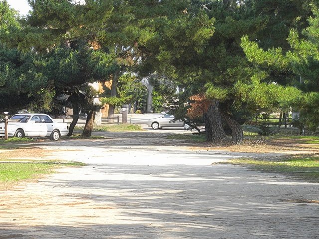 RIMG10162-topaz-standard v2-640w.jpg