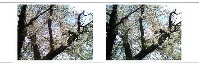 3DMG0012-topaz-standard v2-640w.jpg