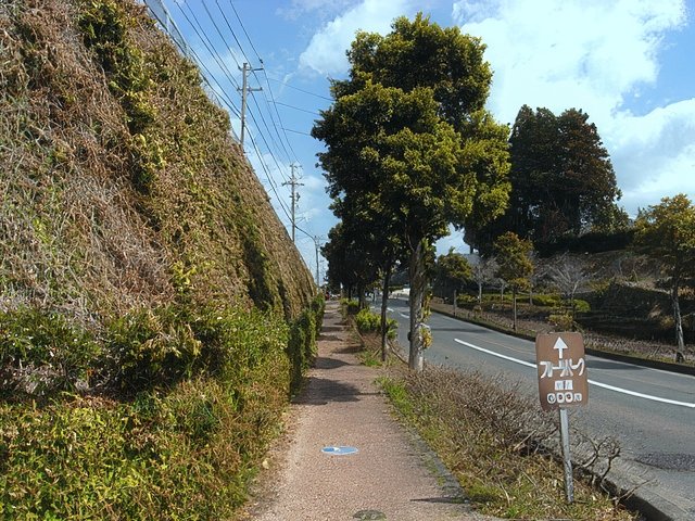 RIMG12043-topaz-standard v2-640w.jpg