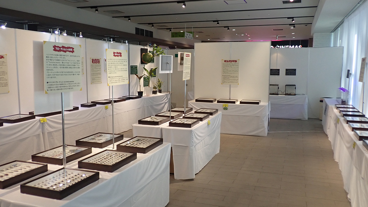P2252099.jpg