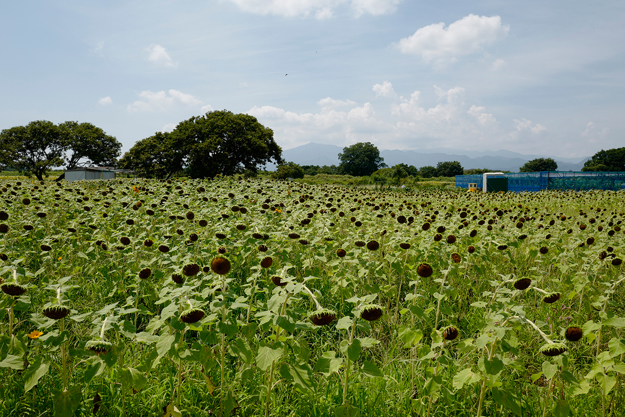 L1010212-001.jpg
