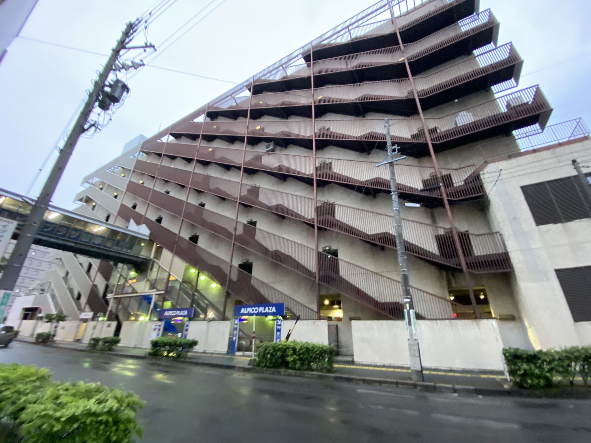 C40F15F1-EA06-4A30-9A6D-F4BA31A21044 - ねこばば.jpeg