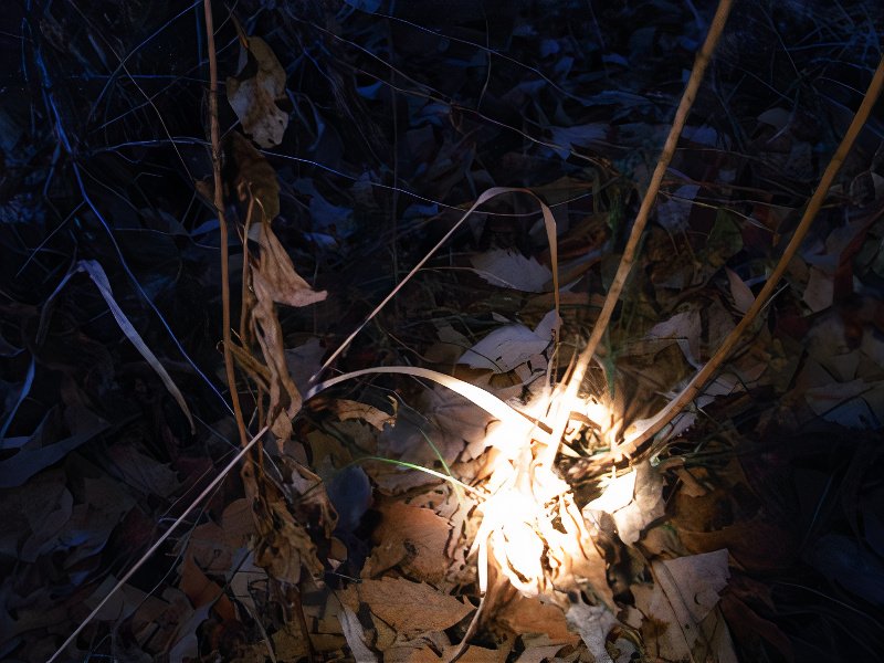 16_photos_v2_x2.jpg