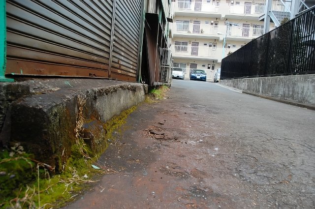 DSC_0277-topaz-low resolution-640w.jpg